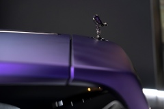 17-RR-Dawn-Nick-黑紫頭-黑