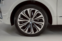 21-Bentley-BENTAYGA-FIRST_覓奢華LUXURYGOODS-14