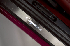 24-Porsche-718-Cayman-Style-Edition_覓奢華LUXURYGOODS-12